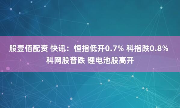 股壹佰配资 快讯：恒指低开0.7% 科指跌0.8% 科网股普跌 锂电池股高开