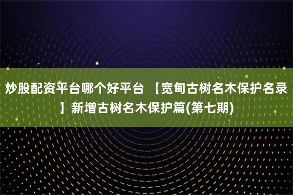 炒股配资平台哪个好平台 【宽甸古树名木保护名录】新增古树名木保护篇(第七期)
